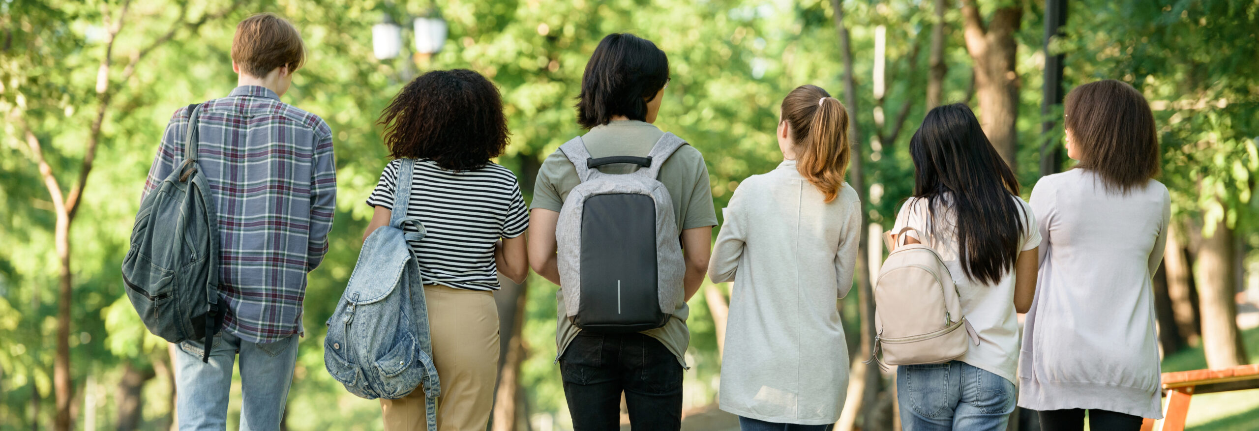 Back view image of multiethnic group of young students